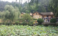 ����������ɽ�� �������������