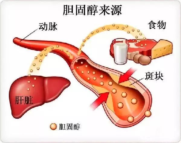 AGGAME��(�й���)���Źٷ���վ