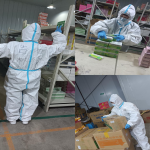 ���ֿ��߹���ս